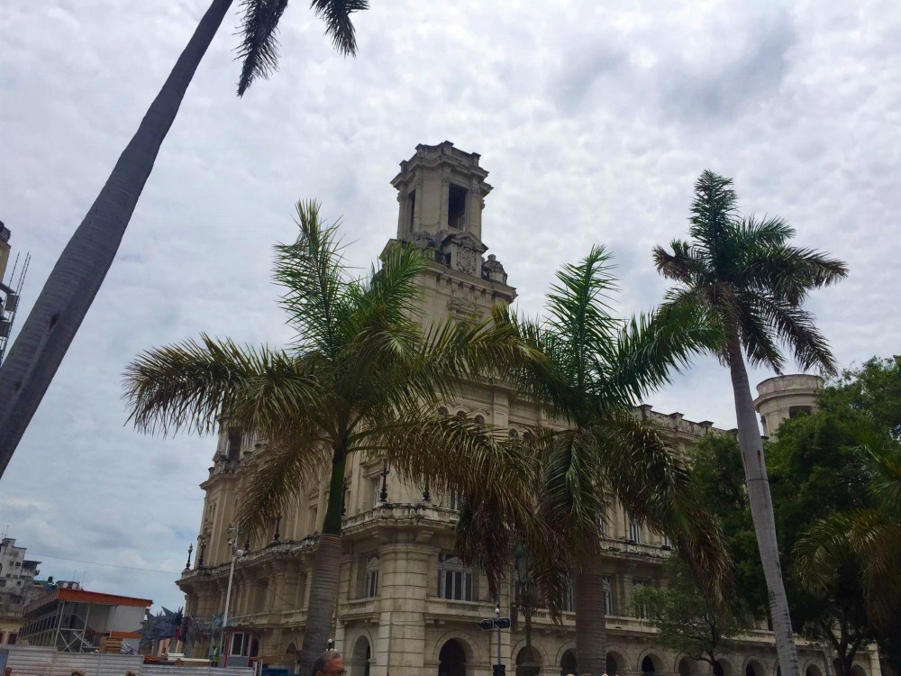 13909056_10210415042637227_6216553170522558513_o - Copy - Copy