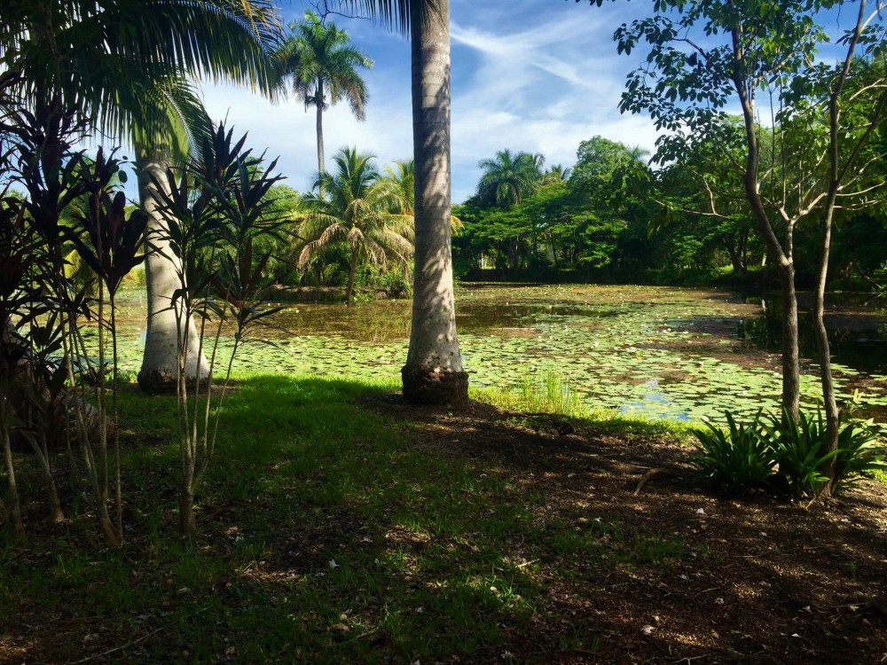 13920419_10210390681828222_9221482103292375940_o - Copy - Copy