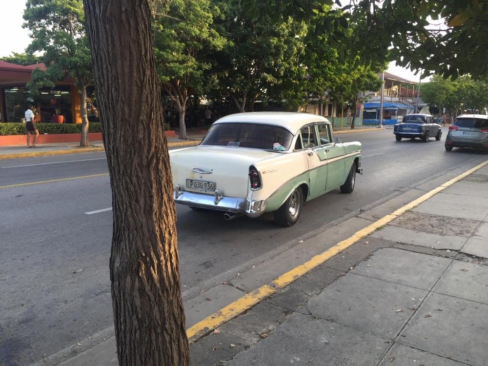 13923674_10210390680628192_3087072778089616893_o - Copy - Copy