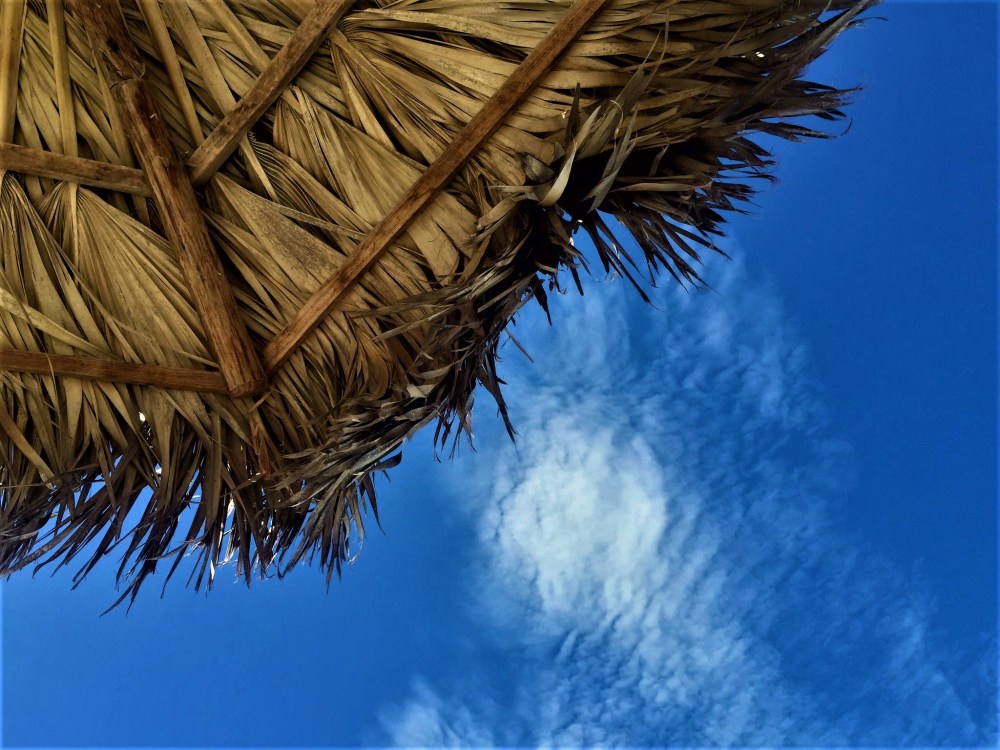 13987510_10210400176385580_3697633099986426368_o - Copy