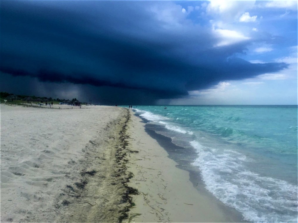 13988191_10210400178425631_6051187663663785162_o